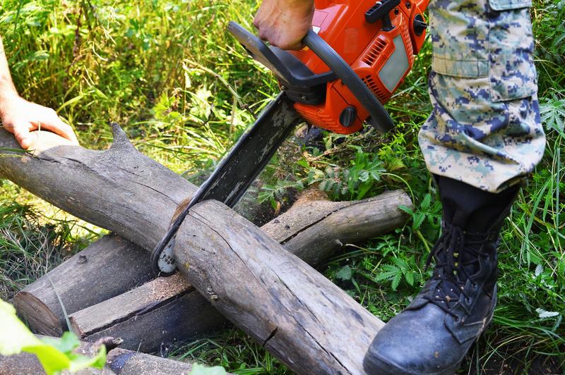 tree cutting