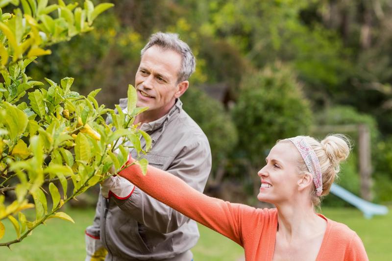 Tree Caring